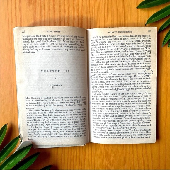 Vintage 1961 Hard Times by Charles Dickens – Signet Classic #451 – Hardcover - Picture 9 of 12